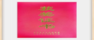 喜讯│北京市京潮公益基金会党支部荣获市委两新工委2023年社会组织党组织党建经费奖励支持