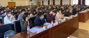 北京市京潮公益基金会参加首都公益慈善联合会召开的三届二次会员代表大会暨三届三次理事会、常务理事会