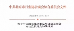 中共北京市京潮公益基金会党支部获批成立